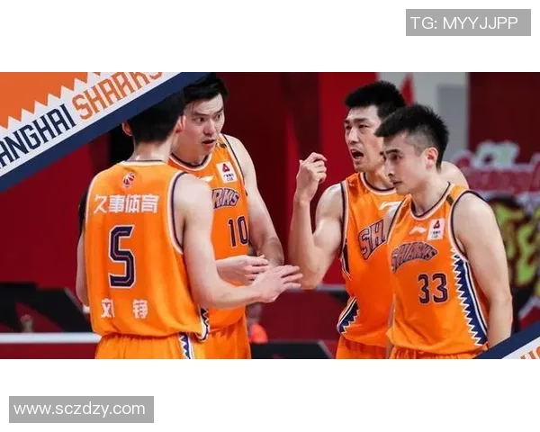 CBA球队青年球员成长路径与培养策略探索与实践分析 CBA球队青年球员成长路径与培养策略探索与实践分析